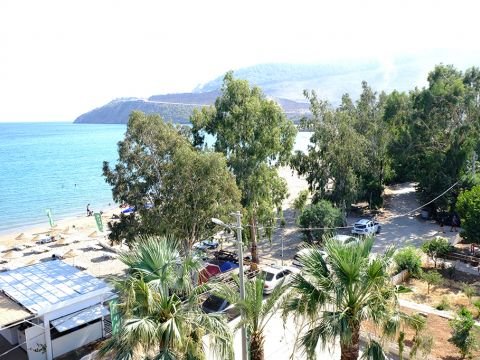 Shots from the Beach